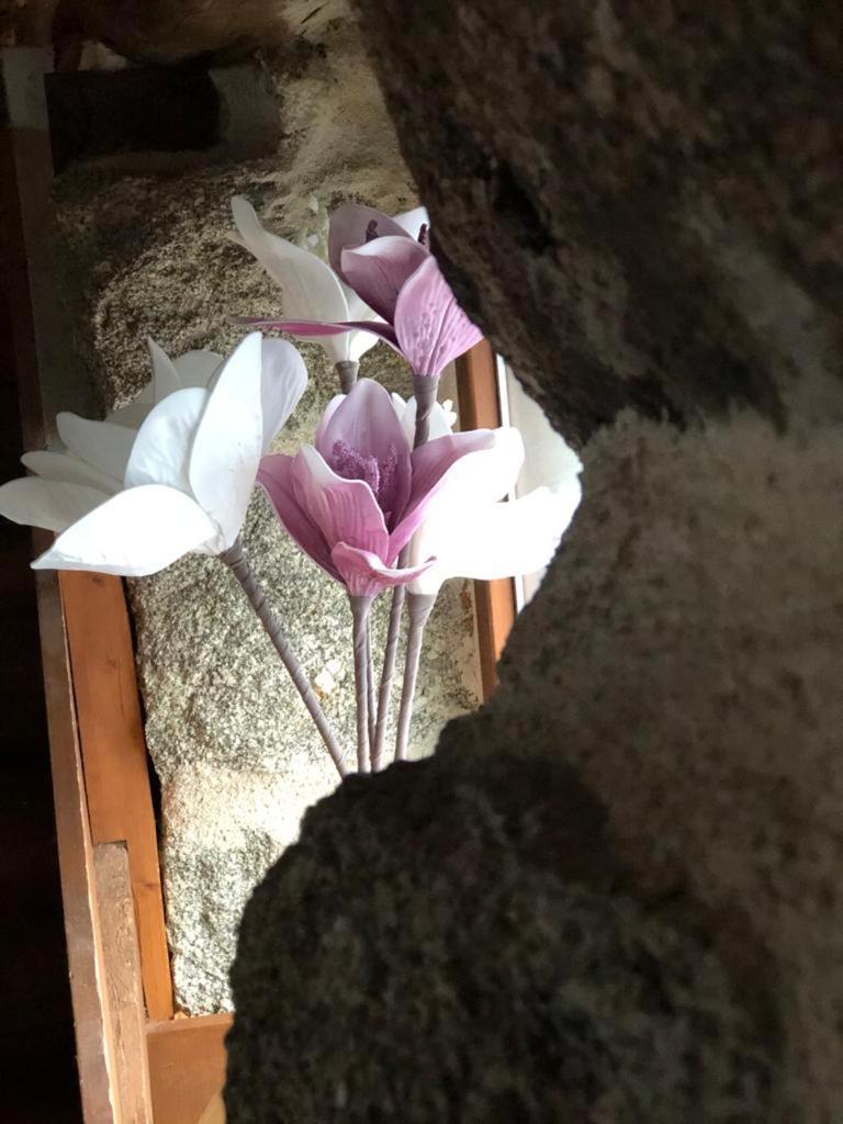 El Balconcillo Del Alberche Villa Navaluenga Ngoại thất bức ảnh